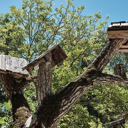 Les Maisons De Chante Oiseau Sigonce Bagian luar foto
