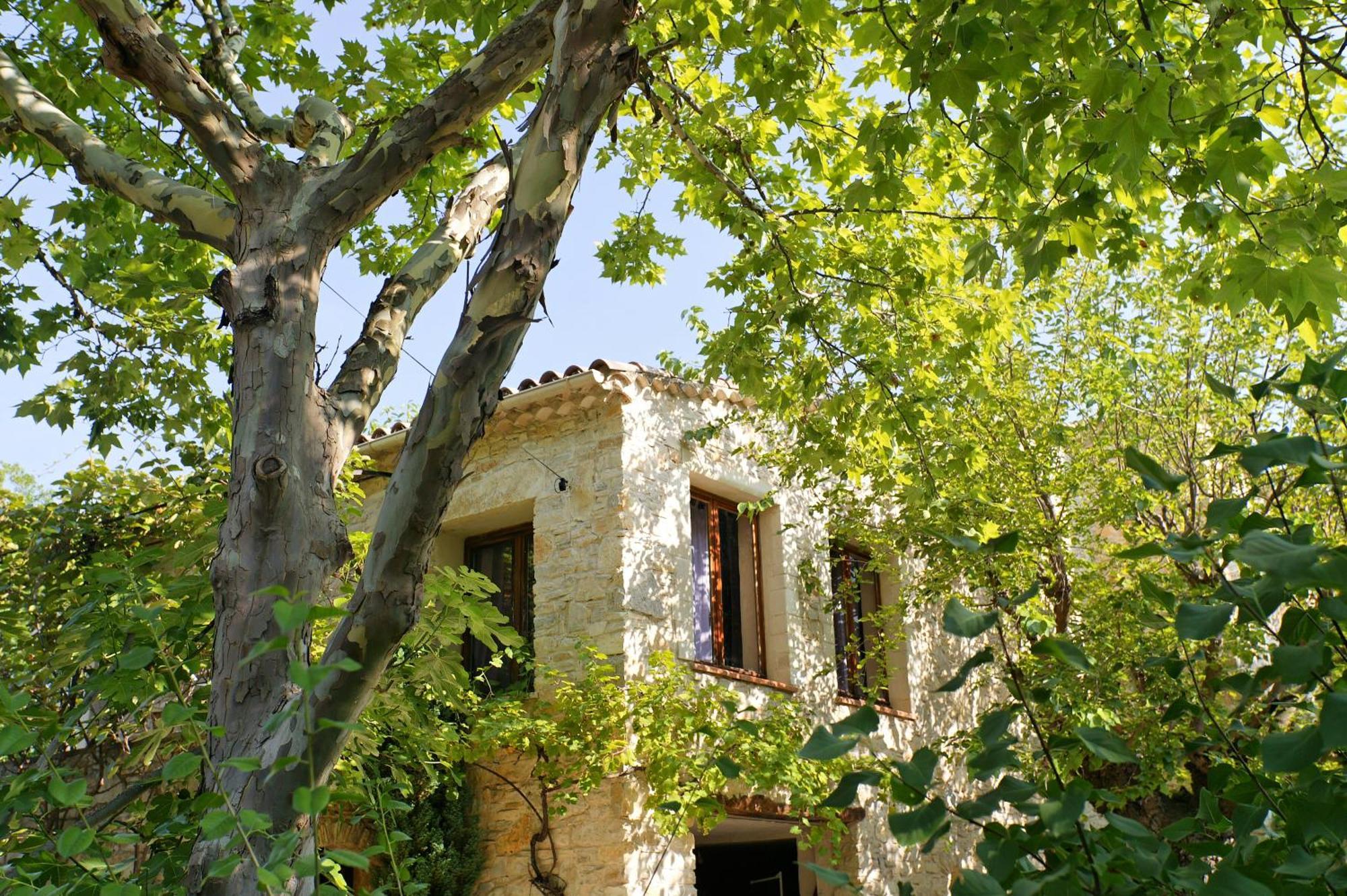 Les Maisons De Chante Oiseau Sigonce Bagian luar foto