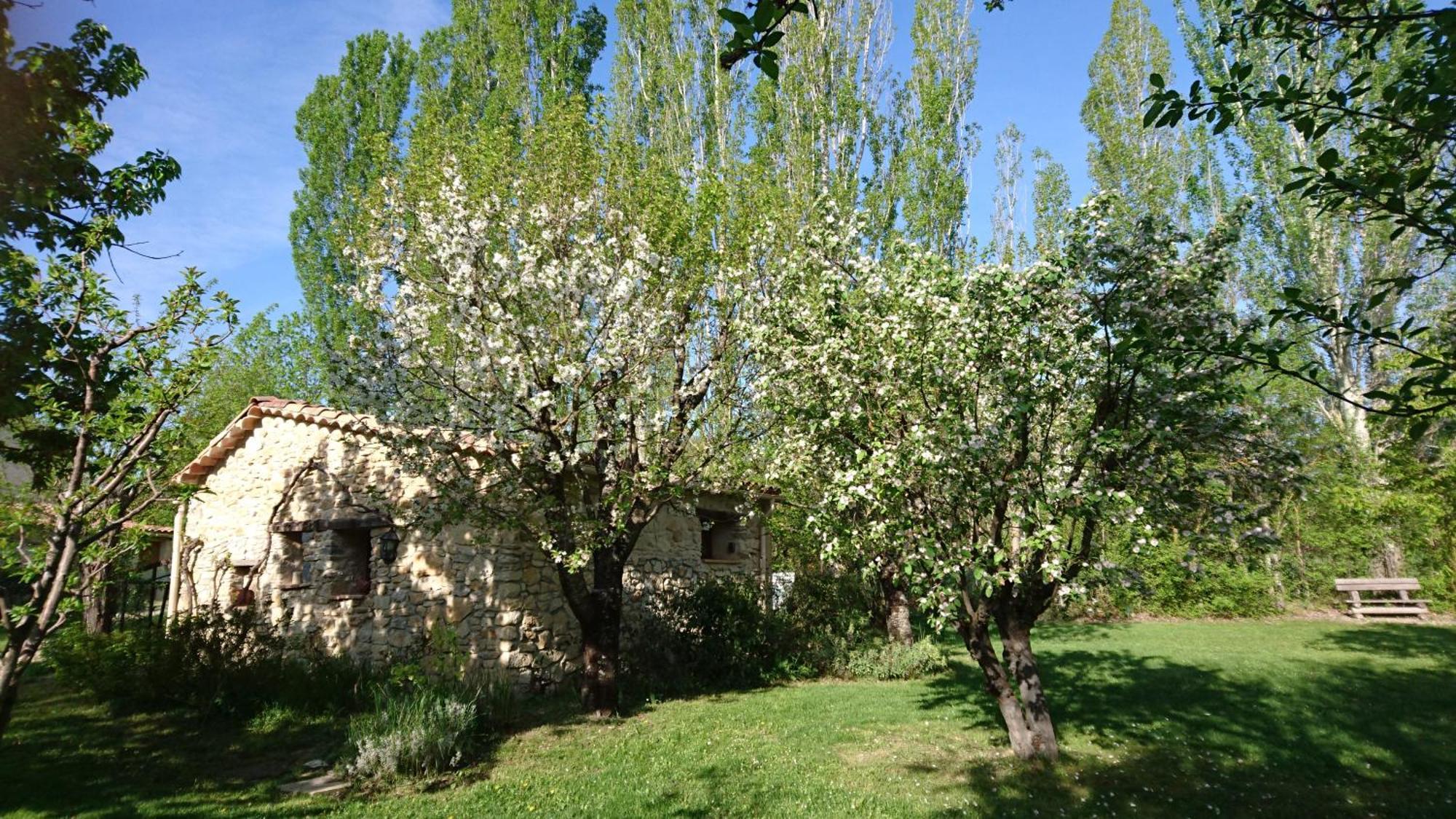 Les Maisons De Chante Oiseau Sigonce Ruang foto