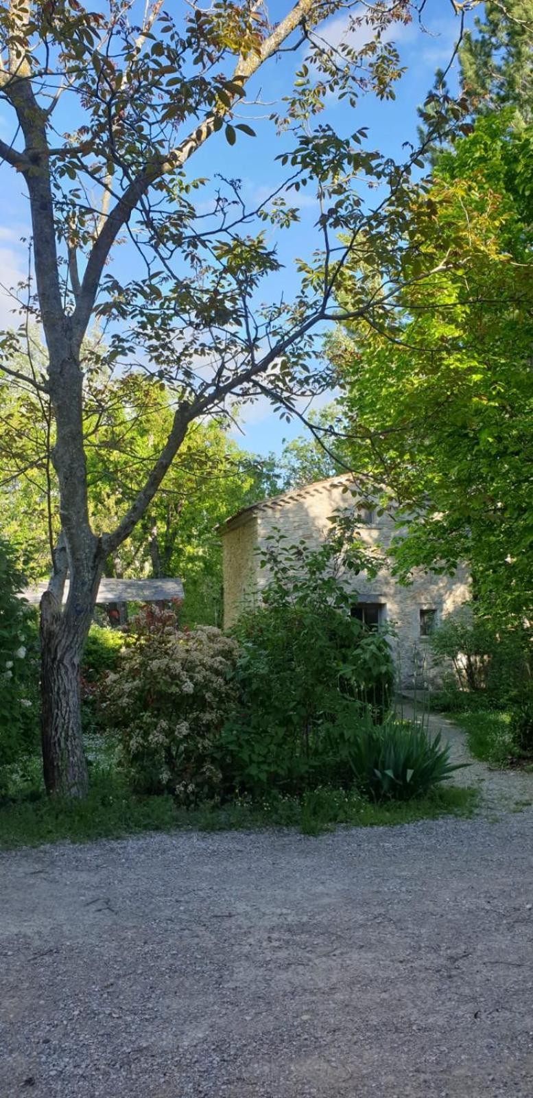 Les Maisons De Chante Oiseau Sigonce Bagian luar foto