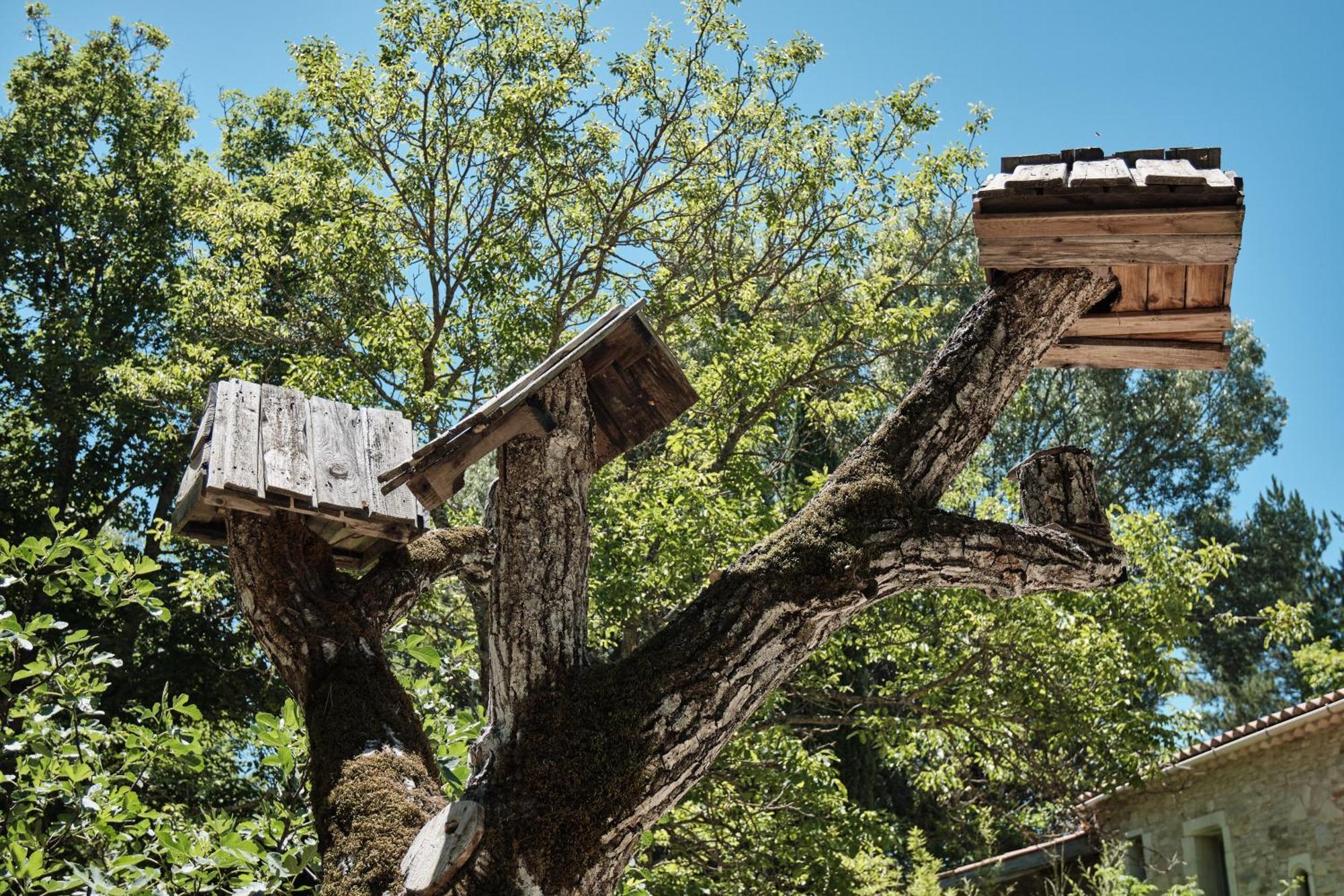 Les Maisons De Chante Oiseau Sigonce Bagian luar foto